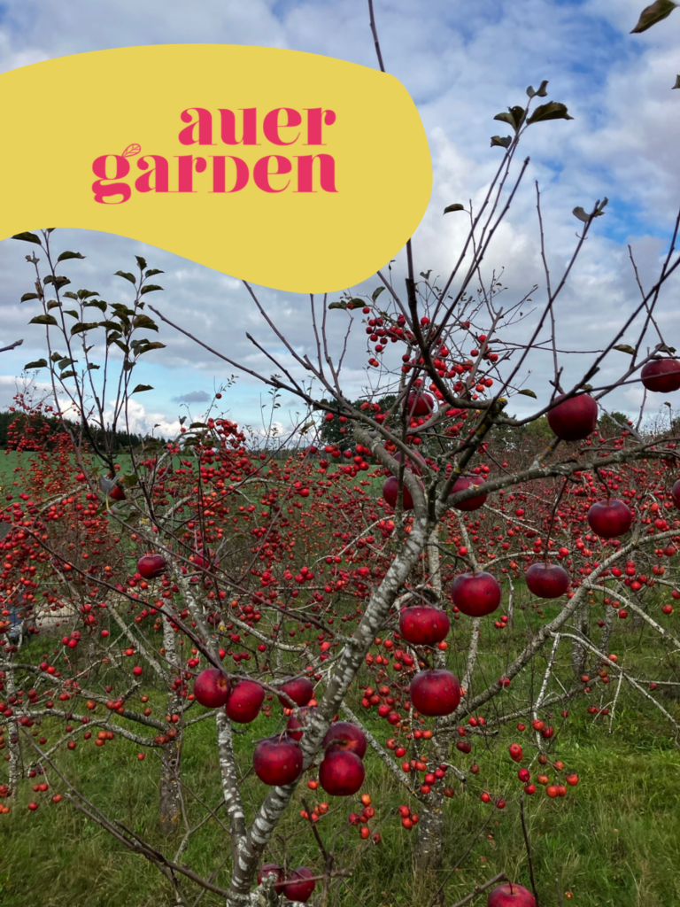 Auergarden
